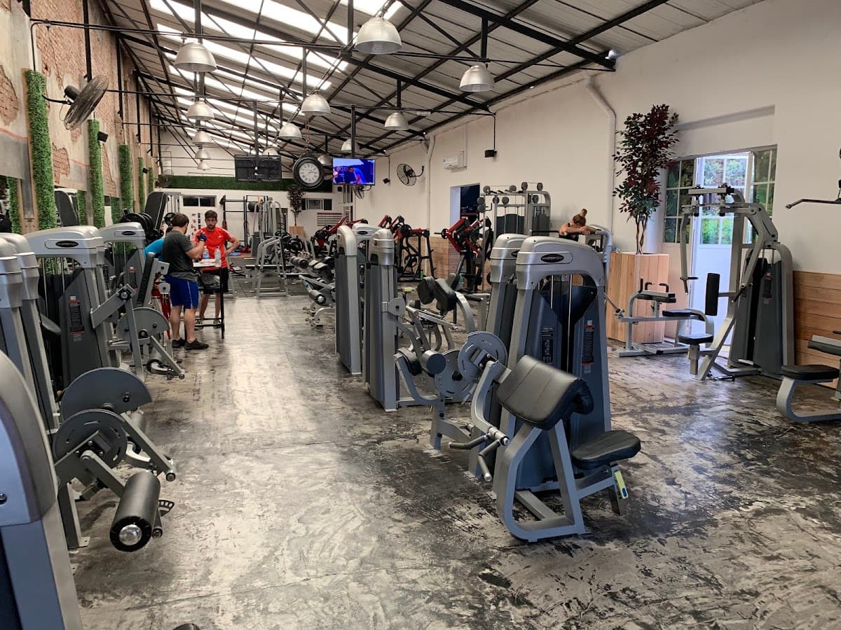 Fitness Point gimnasio