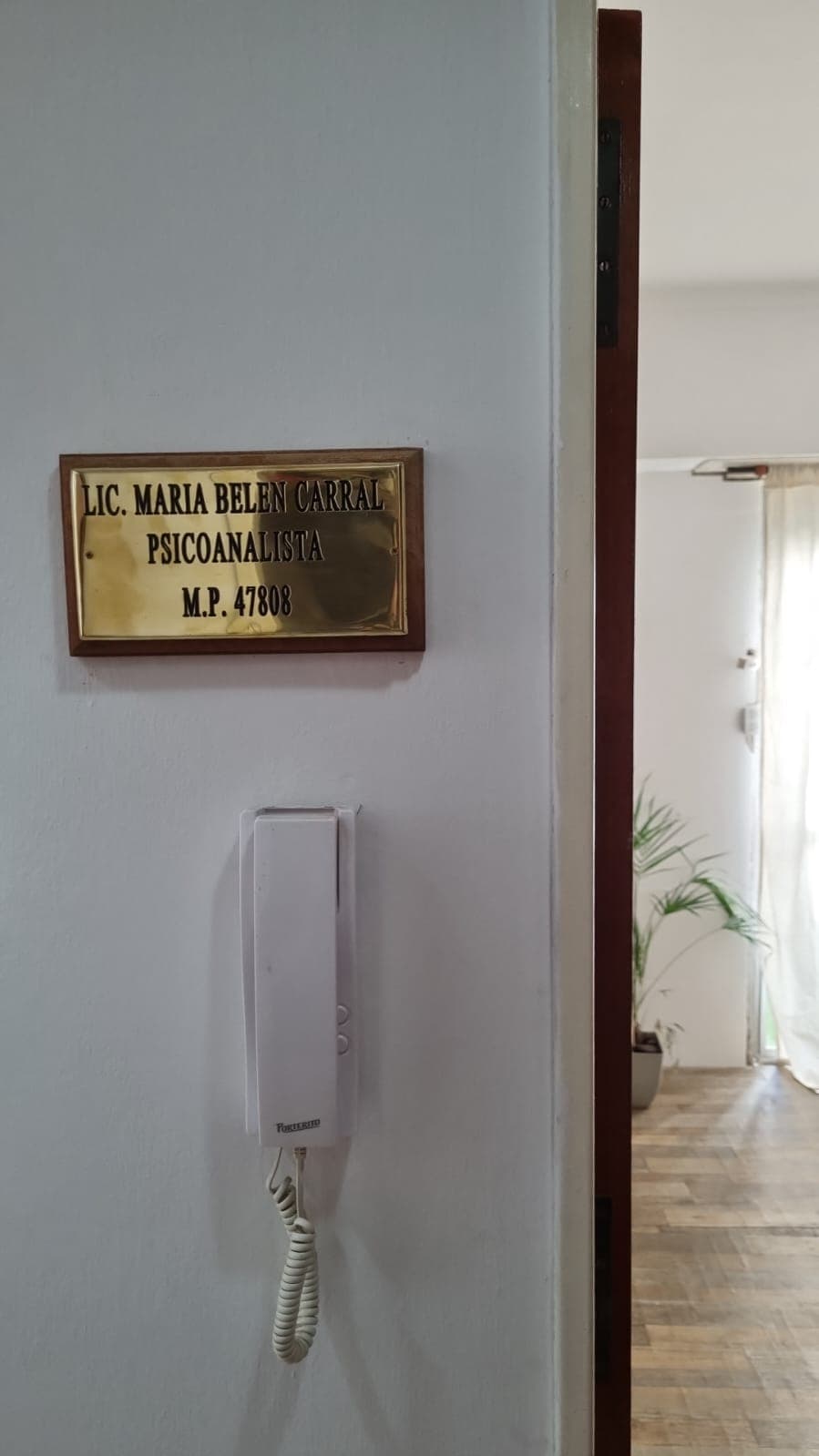 Psicóloga Lic. Belén Carral