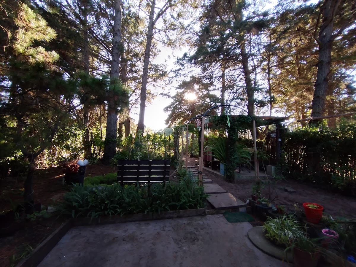 Any bustamante Depilación