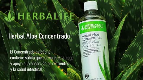 Herbalife de Luca
