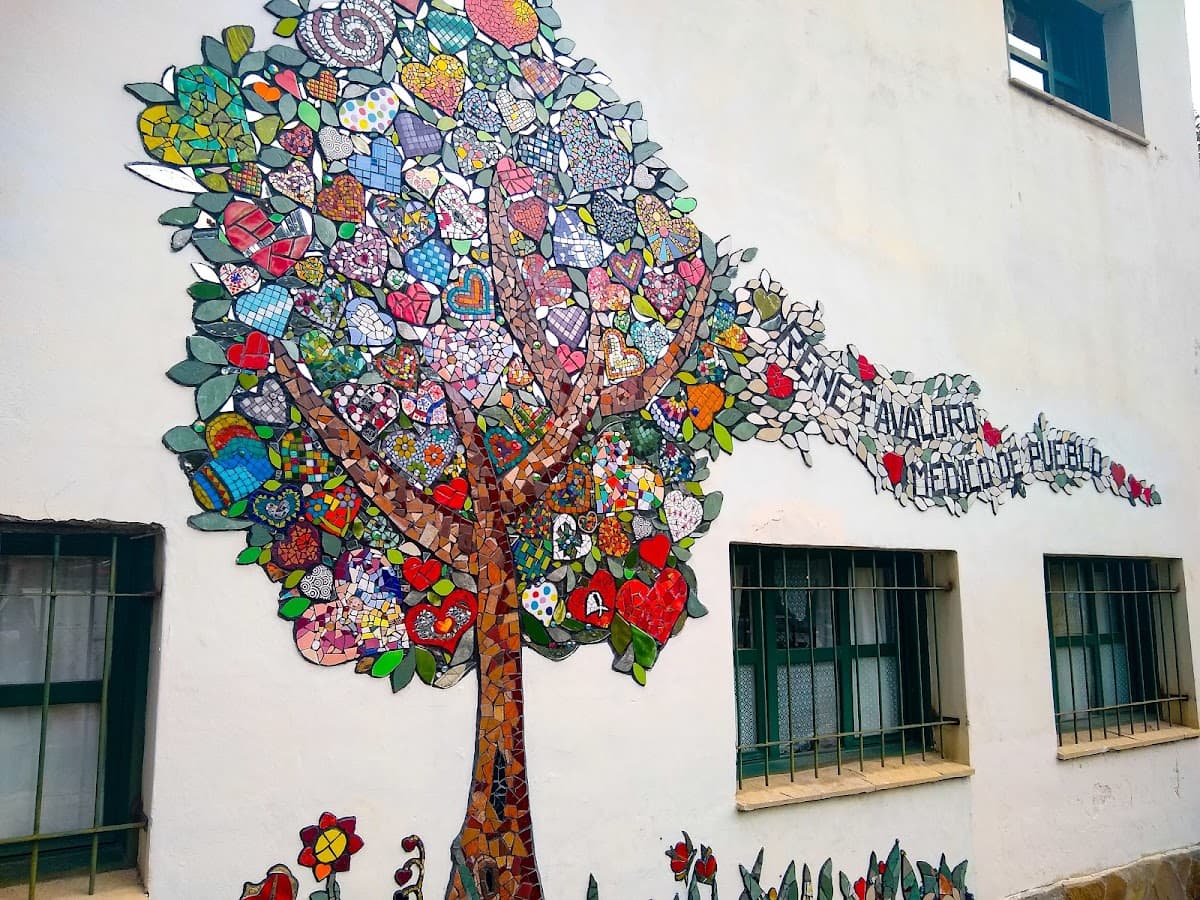 Hospital de Área El Bolsón