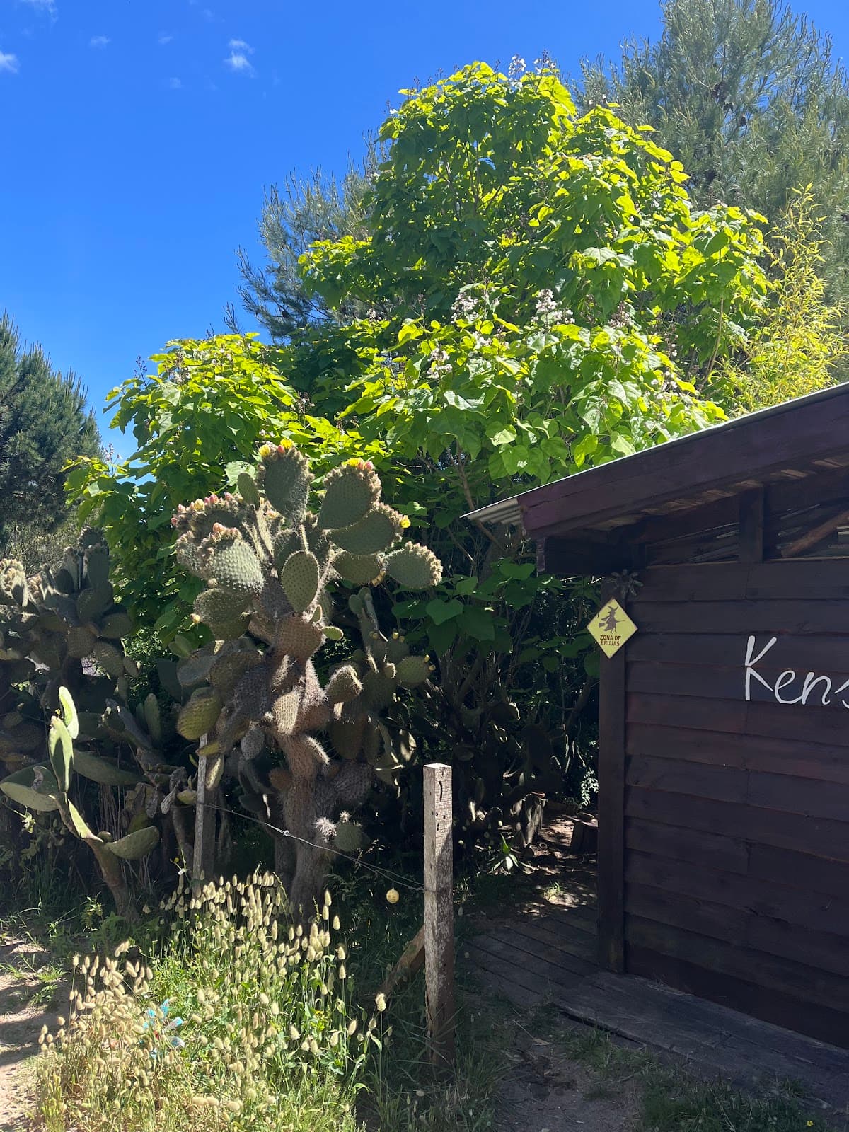 Kensho “Espacio para Despertar “