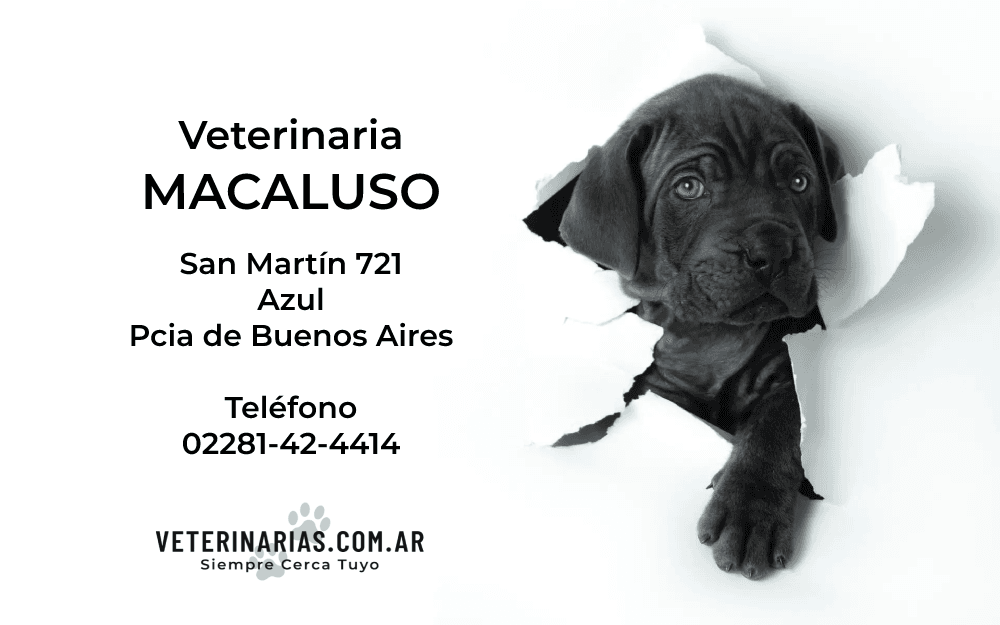 Veterinaria Macaluso