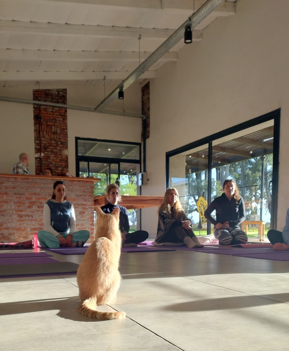 Yoga Integral Bolívar