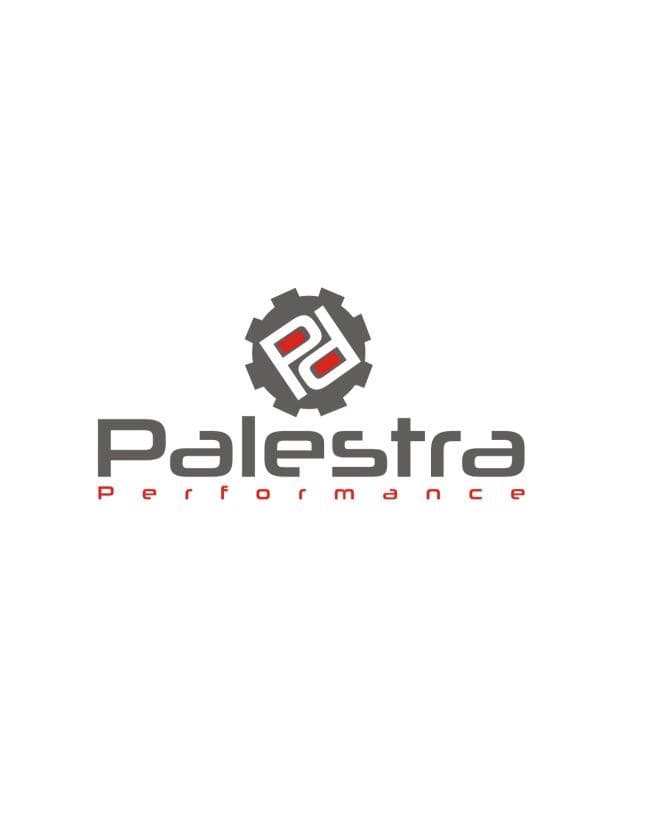 Palestra Performance Pehuajo